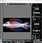 Fishes Set