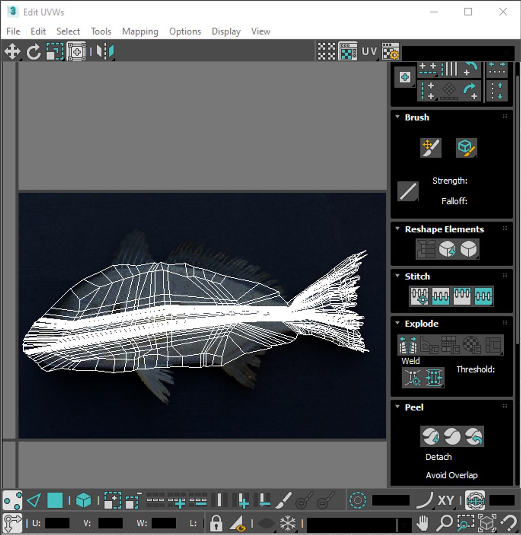 3D Fishes Set https://p.turbosquid.com/ts-thumb/Y8/hAvjxF/kw/screenshot20220718225508/png/1658388168/1920x1080/fit_q87/54fcbc177cf4de66e9a0684243c1063bc6537726/screenshot20220718225508.jpg