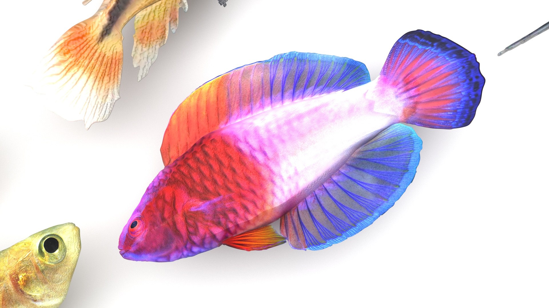 3D Fishes Set https://p.turbosquid.com/ts-thumb/Y8/hAvjxF/mX/fishesset17/jpg/1658388053/1920x1080/fit_q87/7265364c36eac923d098e218927db0415f6ef3aa/fishesset17.jpg