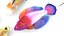 Fishes Set