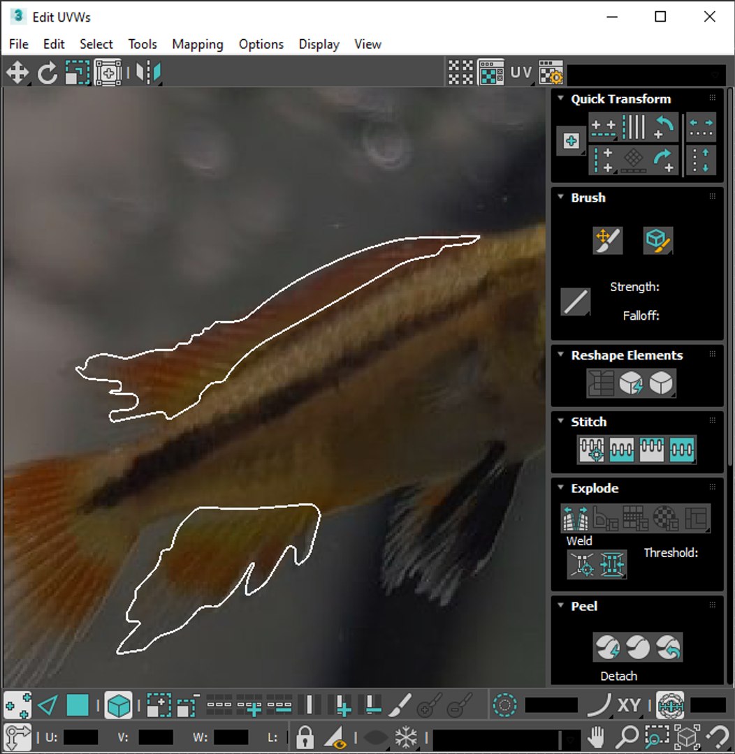 3D Fishes Set https://p.turbosquid.com/ts-thumb/Y8/hAvjxF/nJ/screenshot20220718154024/png/1658388167/1920x1080/fit_q87/86466fb2b8e321a7c303fb080281ffe3a103d1bd/screenshot20220718154024.jpg