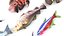 Fishes Set