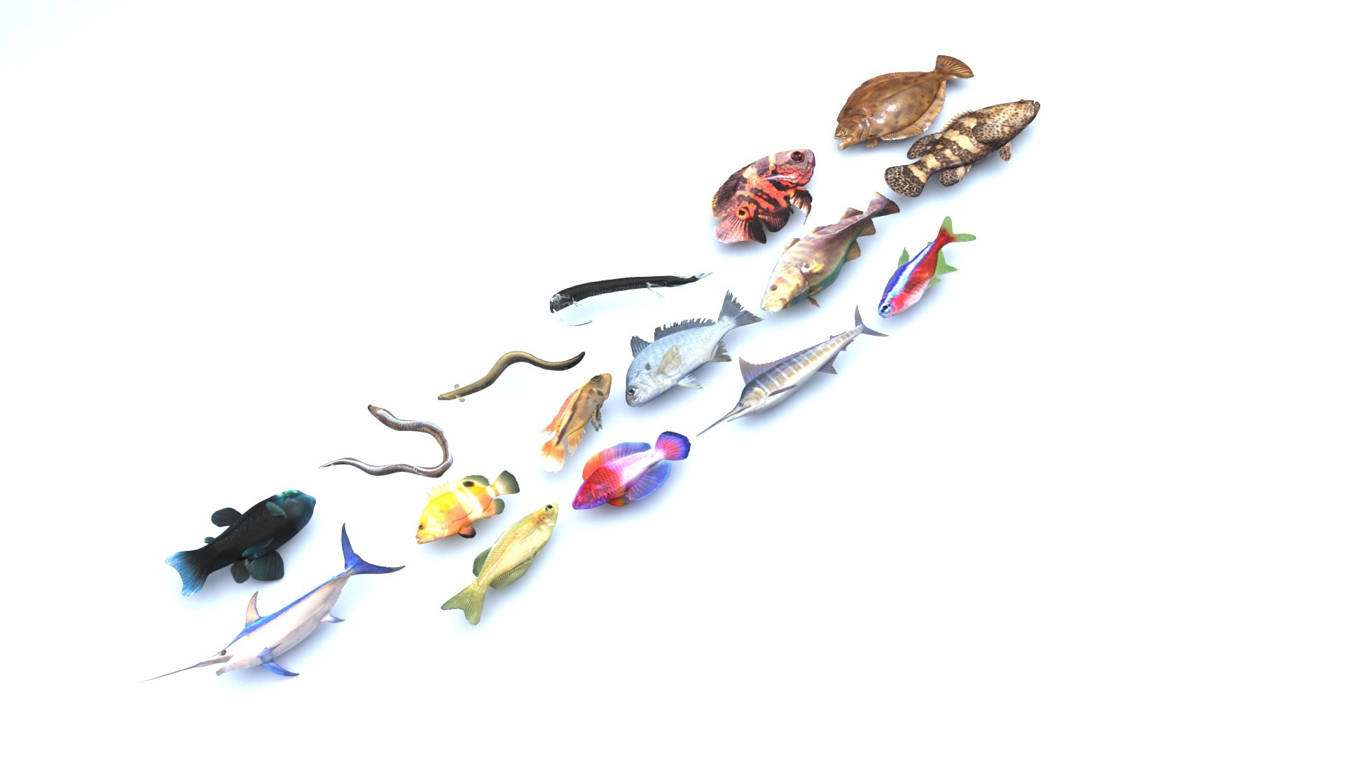 3D Fishes Set https://p.turbosquid.com/ts-thumb/Y8/hAvjxF/rm/fishesset21/jpg/1658388056/1920x1080/fit_q87/97e2d59a098ceb50b4b557e14b56257384a4f15b/fishesset21.jpg