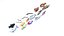Fishes Set