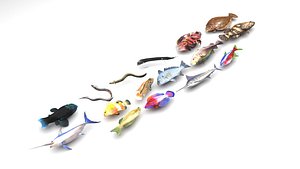 Fishes Set