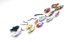 Fishes Set