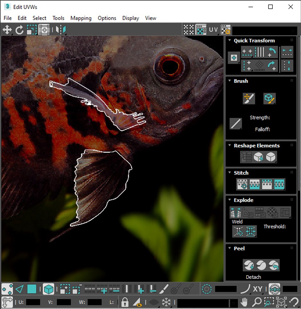 3D Fishes Set https://p.turbosquid.com/ts-thumb/Y8/hAvjxF/u2/screenshot20220716221007/png/1658388158/1920x1080/fit_q87/20424d43322629902cbed01e9835e5bffd8fb97d/screenshot20220716221007.jpg
