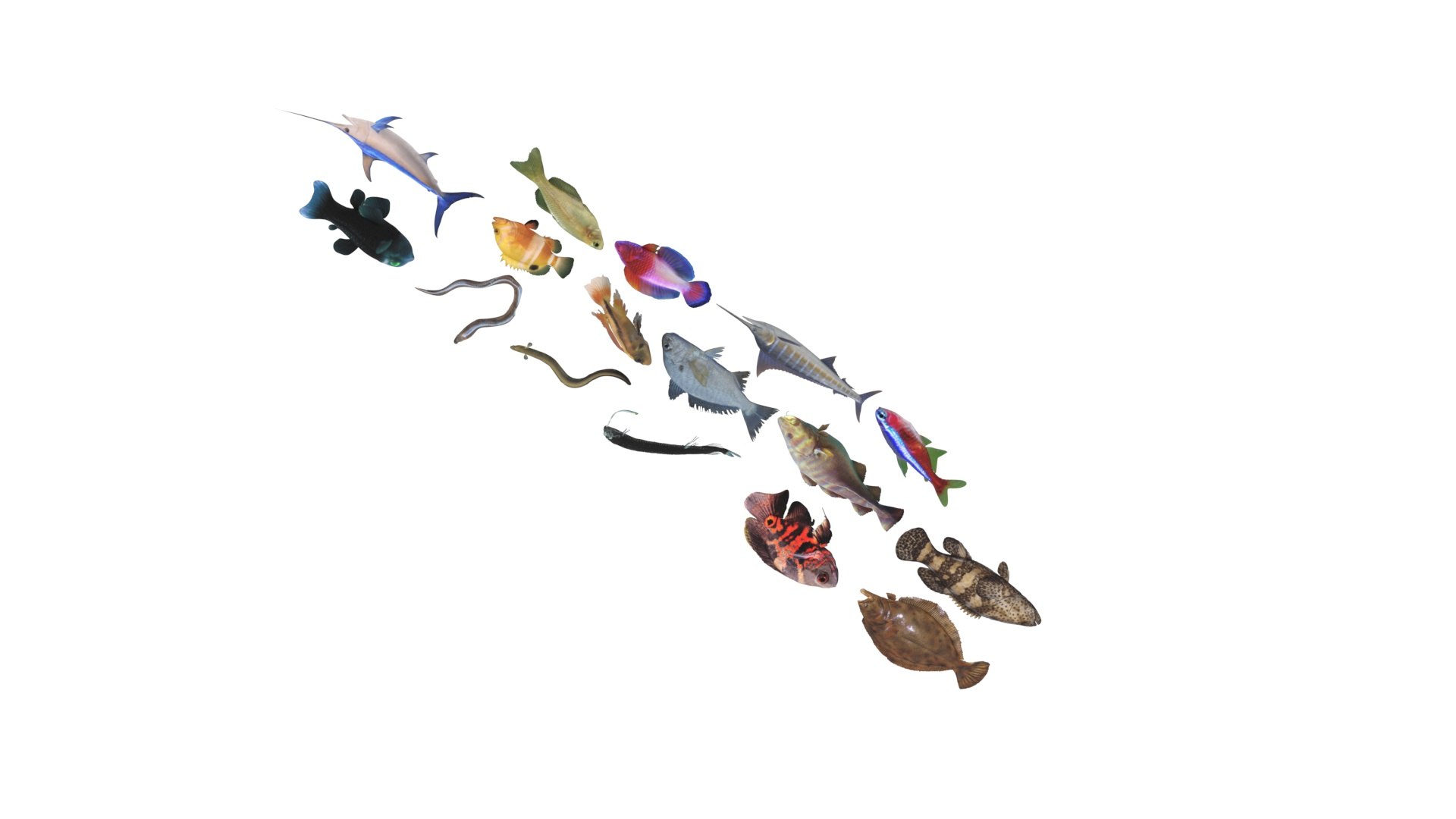 3D Fishes Set https://p.turbosquid.com/ts-thumb/Y8/hAvjxF/v1/fishesset27/jpg/1658388059/1920x1080/fit_q87/f581550a53454d79d1f9945ca93f3347cf1ac12f/fishesset27.jpg