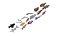 Fishes Set