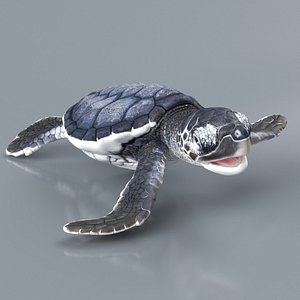 Black Baby Sea Turtle Walking Rigged For Maya Animated 3D model