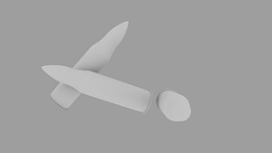 Bullet