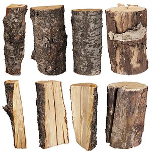 3d scane wood 01 - 4K Photorealistic - high poly - low poly 3D model