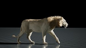 3D White lion - UE5 - Game-ready