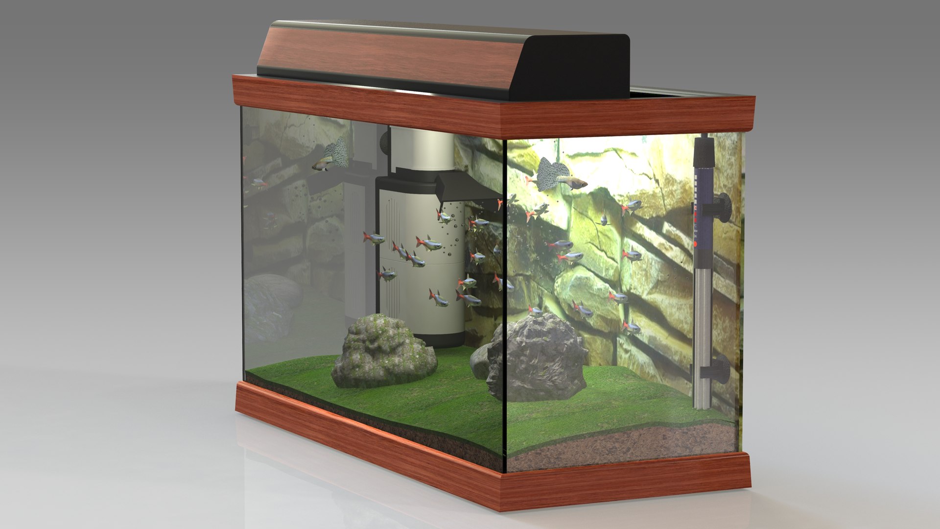 3D tropical aquarium https://p.turbosquid.com/ts-thumb/Y9/4rt2NV/6C/aquariumrender07/jpg/1649409230/1920x1080/fit_q87/47e040c38fb1572fd46f0c8d1b04b4e0b2ba0ca8/aquariumrender07.jpg