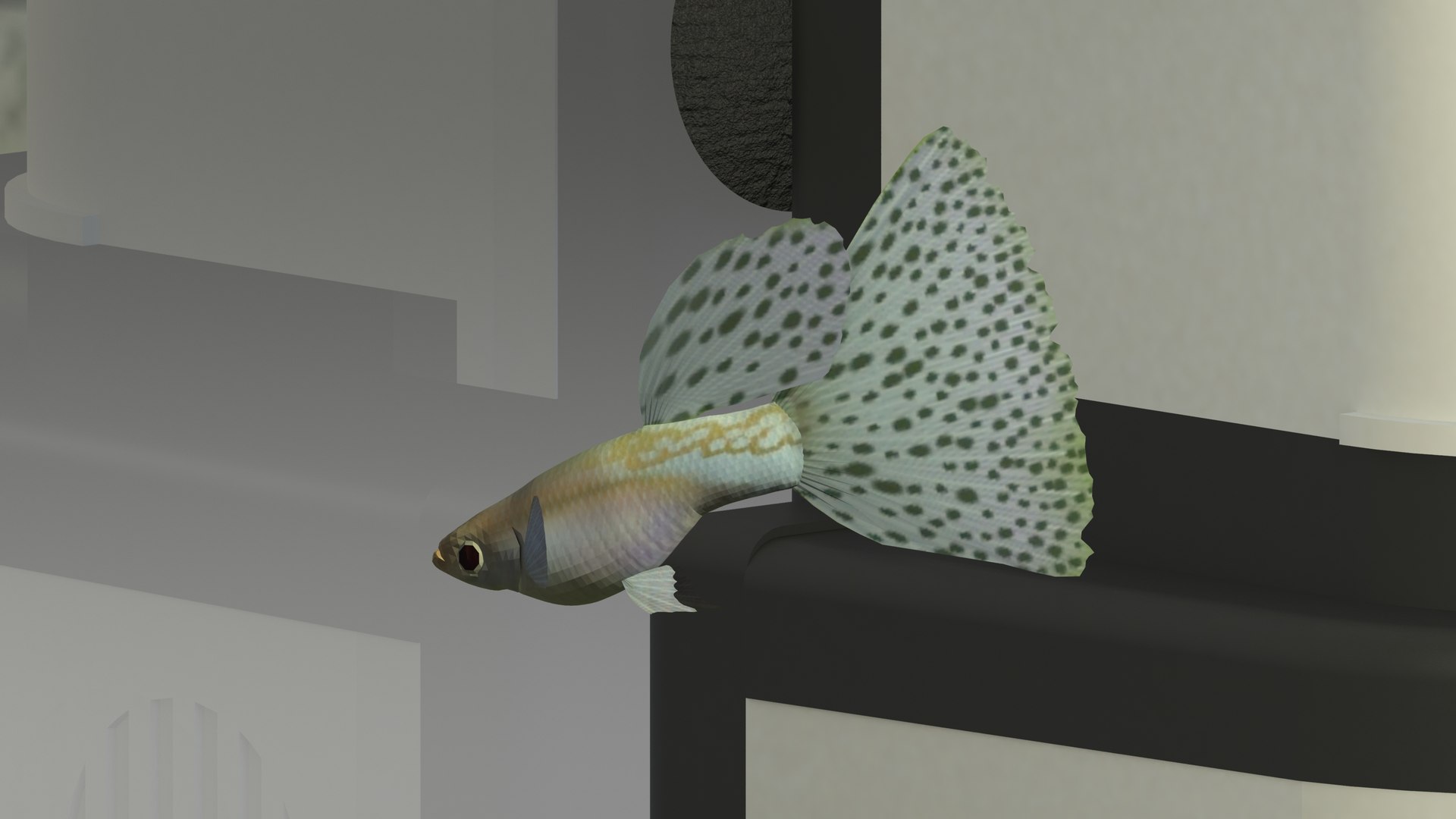 3D tropical aquarium https://p.turbosquid.com/ts-thumb/Y9/4rt2NV/dK/aquariumrender04/jpg/1649409201/1920x1080/fit_q87/10745ec7649e10e80f6f72410d5689820ad5c523/aquariumrender04.jpg