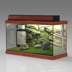 3D tropical aquarium