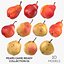 Pears Game Ready Collection 01 - 10 modeli