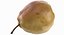 Pears Game Ready Collection 01 - 10 modeli
