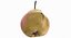Pears Game Ready Collection 01 - 10 modeli