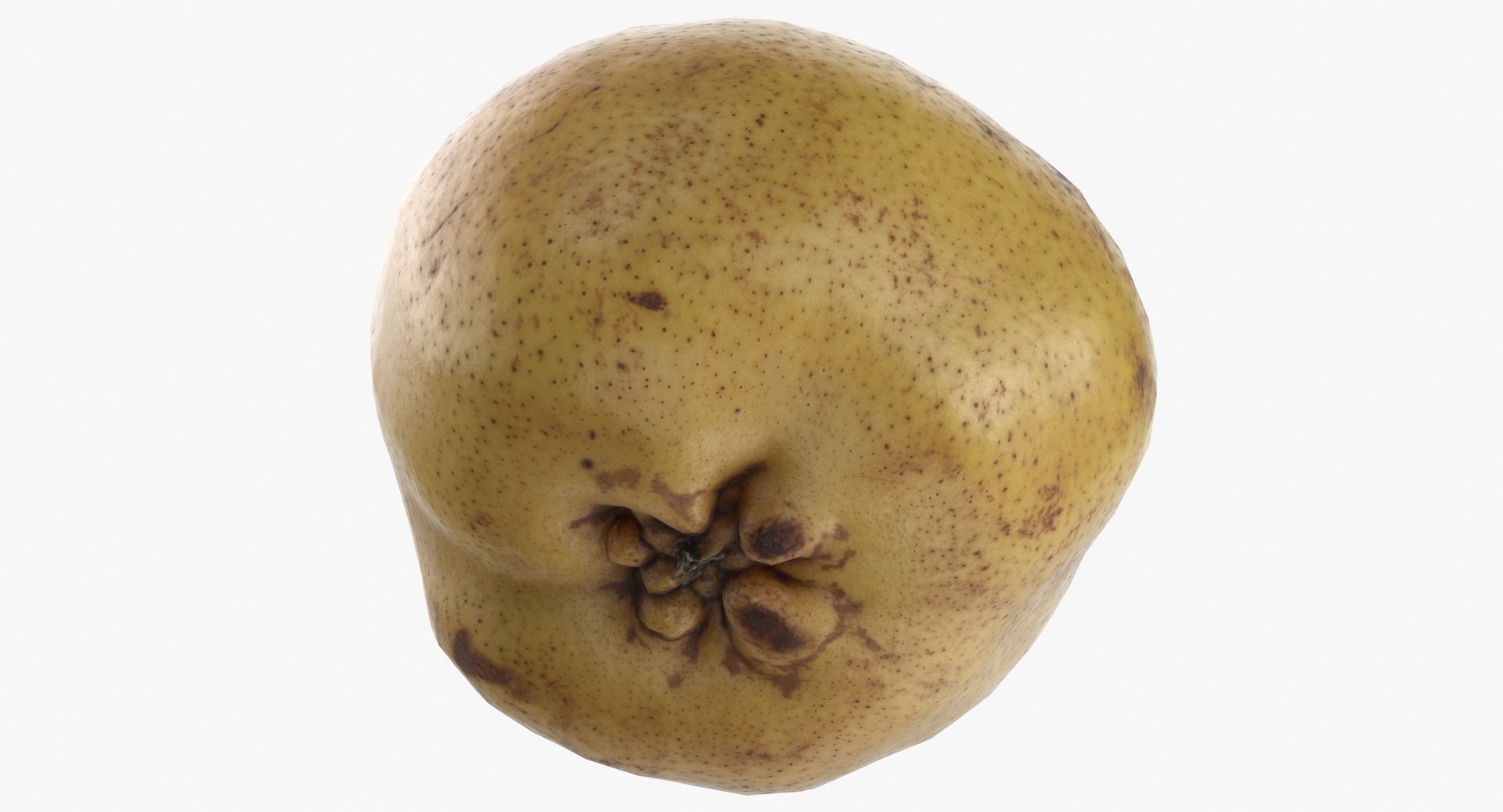 3D Pears Game Ready Collection 01 - 10 models https://p.turbosquid.com/ts-thumb/Y9/7Czeas/ZU/comice_pear_04_game_ready_thumbnail_0007/jpg/1637830481/1920x1080/fit_q87/e64011a4e8649566a6553c76bc90fca929118175/comice_pear_04_game_ready_thumbnail_0007.jpg