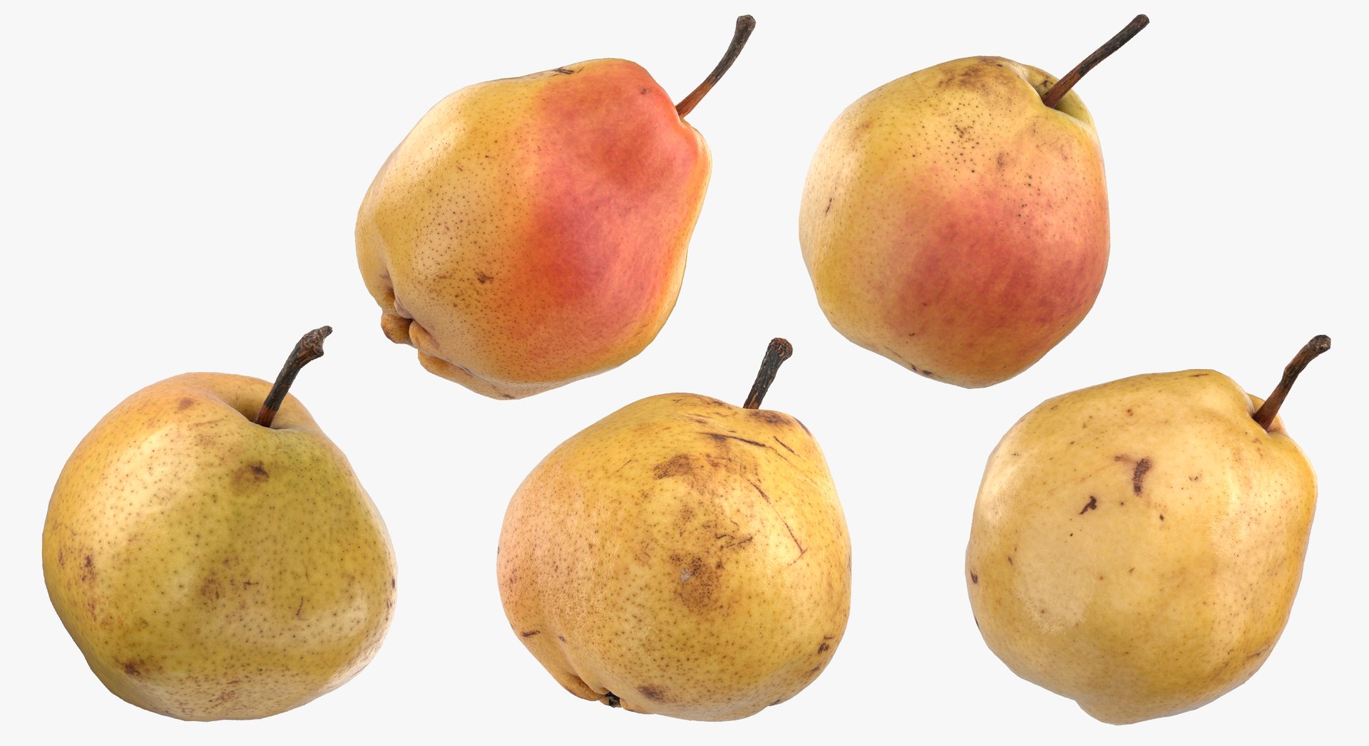 3D Pears Game Ready Collection 01 - 10 models https://p.turbosquid.com/ts-thumb/Y9/7Czeas/ik/1c/jpg/1637830404/1920x1080/fit_q87/357aec5ce4545e3b3eea230e050cb919dd89ff38/1c.jpg