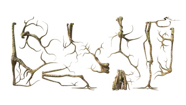 3D tree root - TurboSquid 1954401