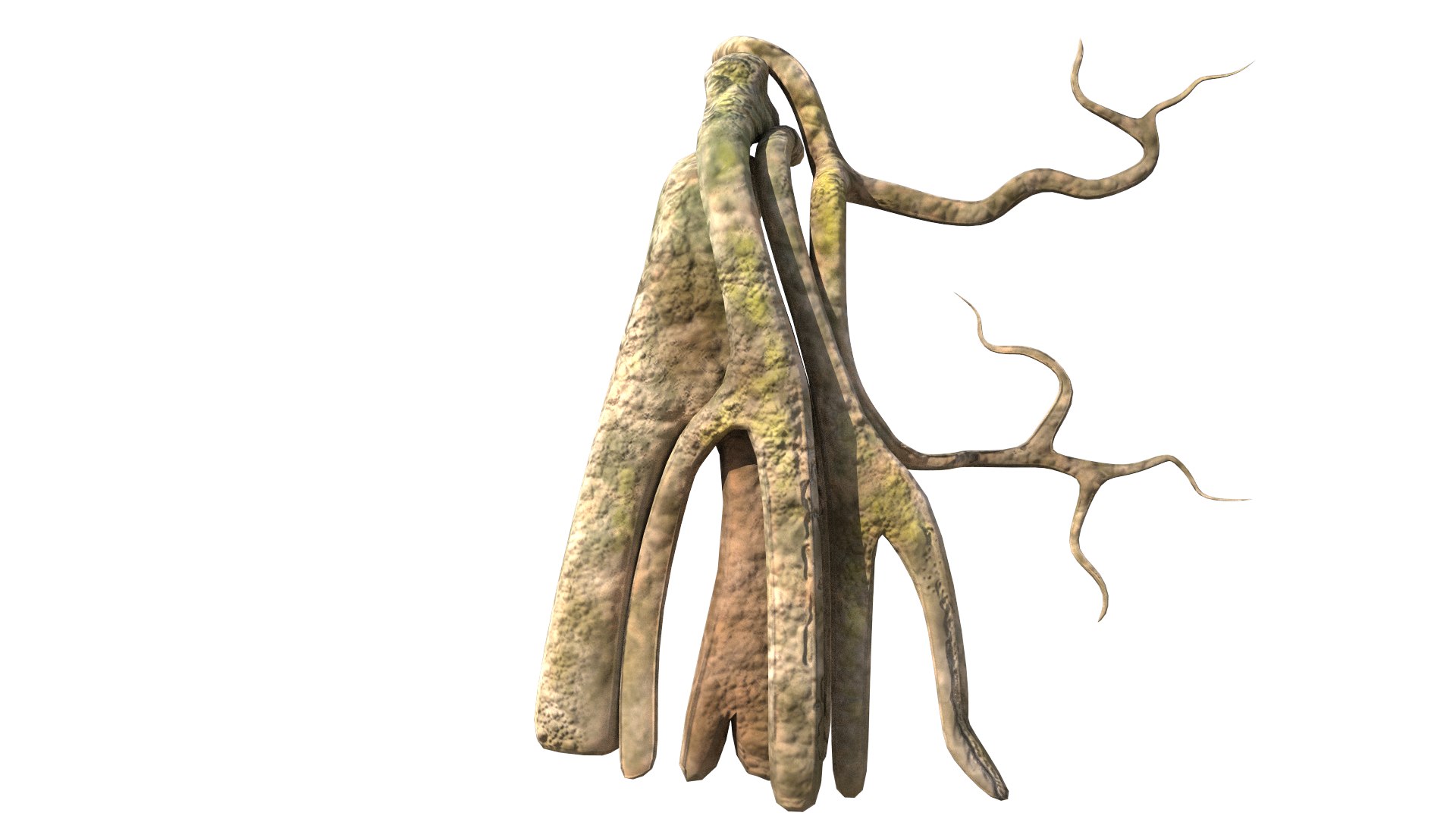 3D roots vines https://p.turbosquid.com/ts-thumb/Y9/AsvMOx/DHdfcaQI/root_09/png/1564544538/1920x1080/fit_q87/61f276ad8605edc1154fda08270c5997f324fba6/root_09.jpg