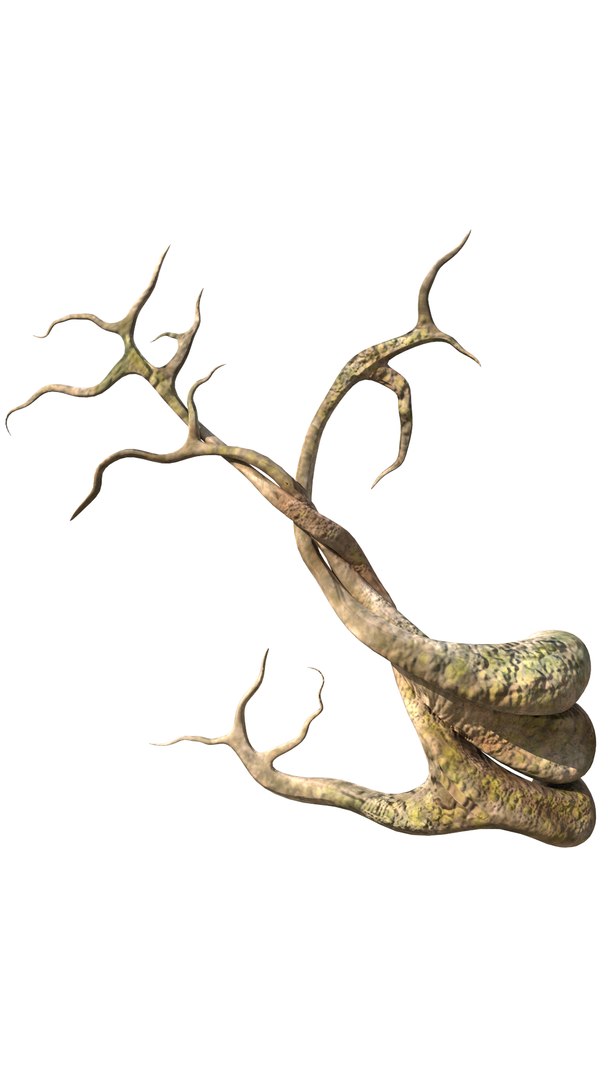 3D roots vines https://p.turbosquid.com/ts-thumb/Y9/AsvMOx/IB8M6s9w/root_08/png/1564544538/1920x1080/fit_q87/8df2f9762b8337a8c11e3924dd9e52fa1b36d69b/root_08.jpg