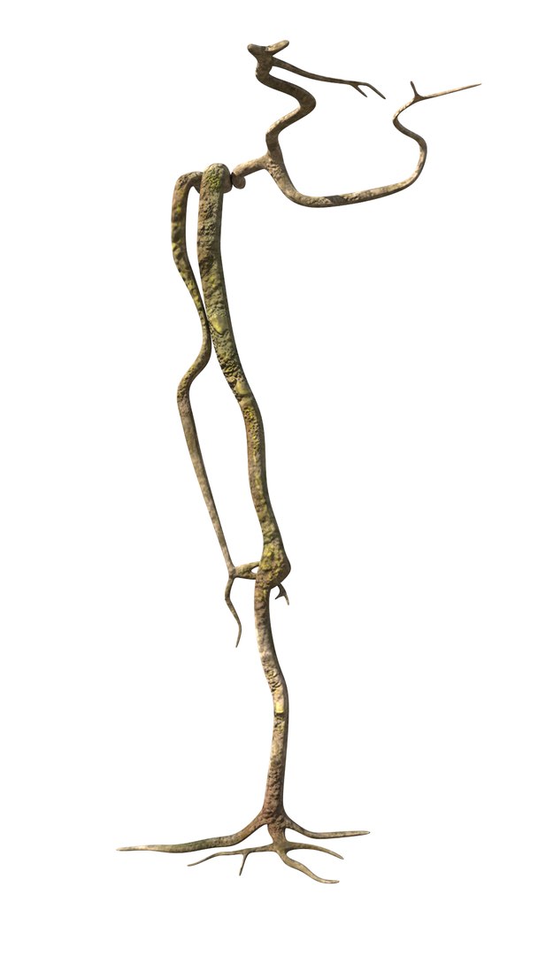 3D roots vines https://p.turbosquid.com/ts-thumb/Y9/AsvMOx/JAwZnZfk/root_02/png/1564544537/1920x1080/fit_q87/f7913260089eec3cc612fde80d77f2679231f6af/root_02.jpg