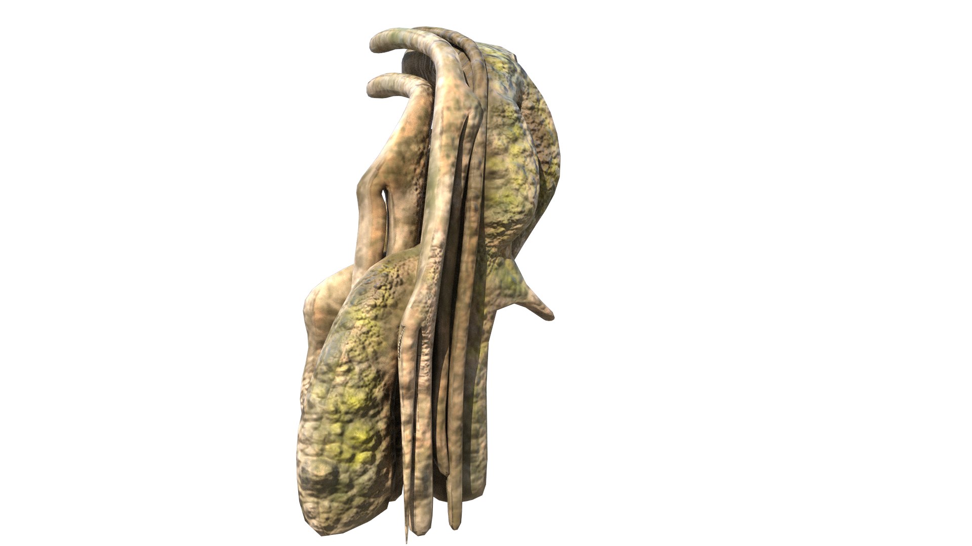3D roots vines https://p.turbosquid.com/ts-thumb/Y9/AsvMOx/rN5IAaP9/root_10/png/1564544538/1920x1080/fit_q87/07a11014aade5923d1f0d2f3c9342728d43bf4b6/root_10.jpg