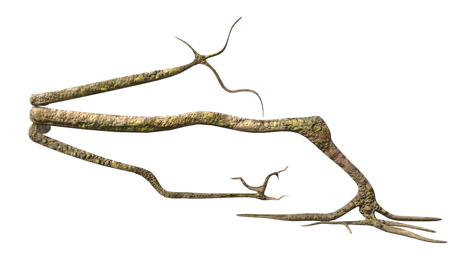 3D roots vines https://p.turbosquid.com/ts-thumb/Y9/AsvMOx/xhWaNiVv/root_01/png/1564544537/1920x1080/fit_q87/eec186e4769b012f9e9d07fddcdbcb118ee6a4bf/root_01.jpg