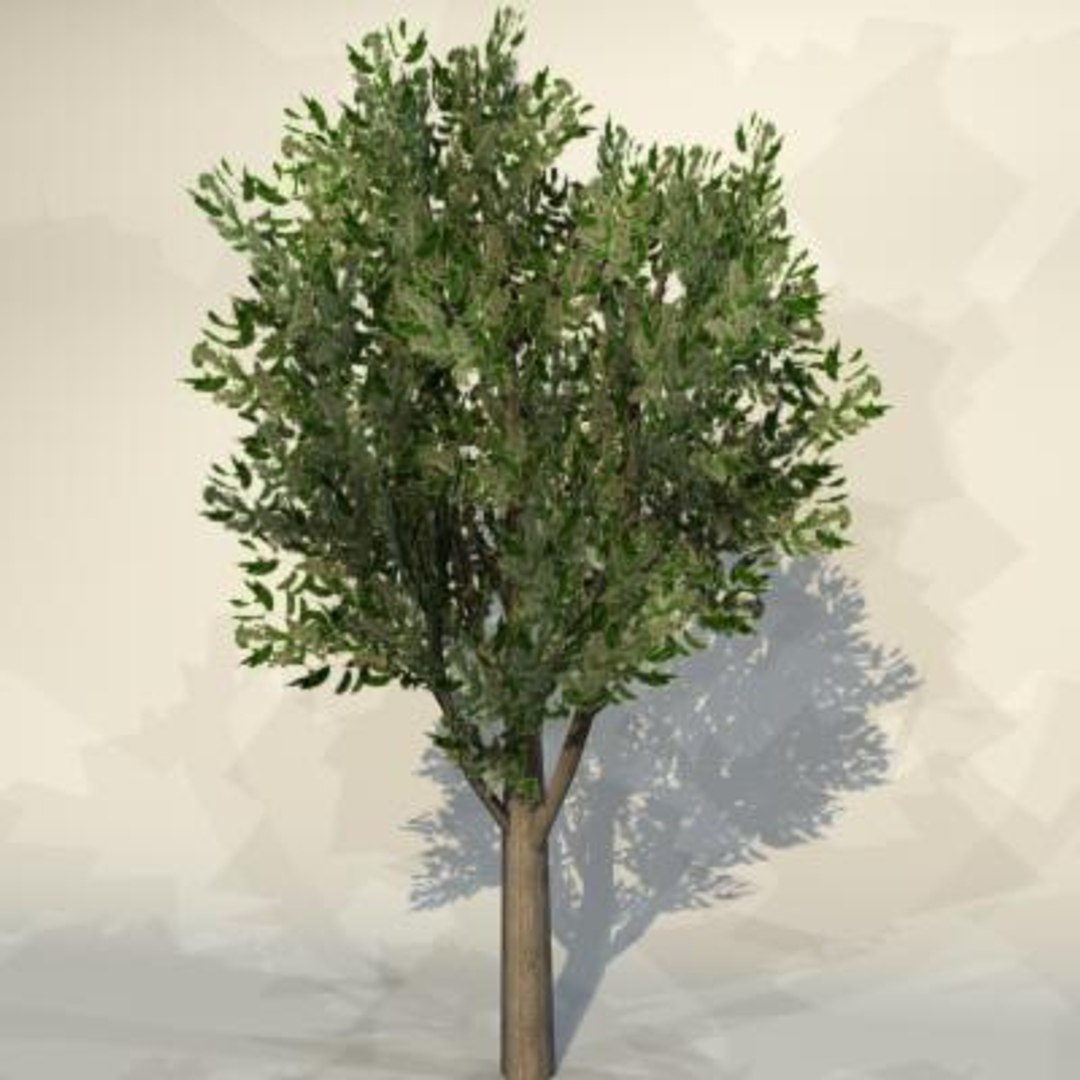 max pc tree