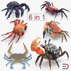 3D model crabs 2
