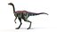 Archaeornithomimus Animated 3D