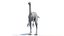 Archaeornithomimus Animated 3D