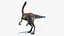 Archaeornithomimus Animated 3D
