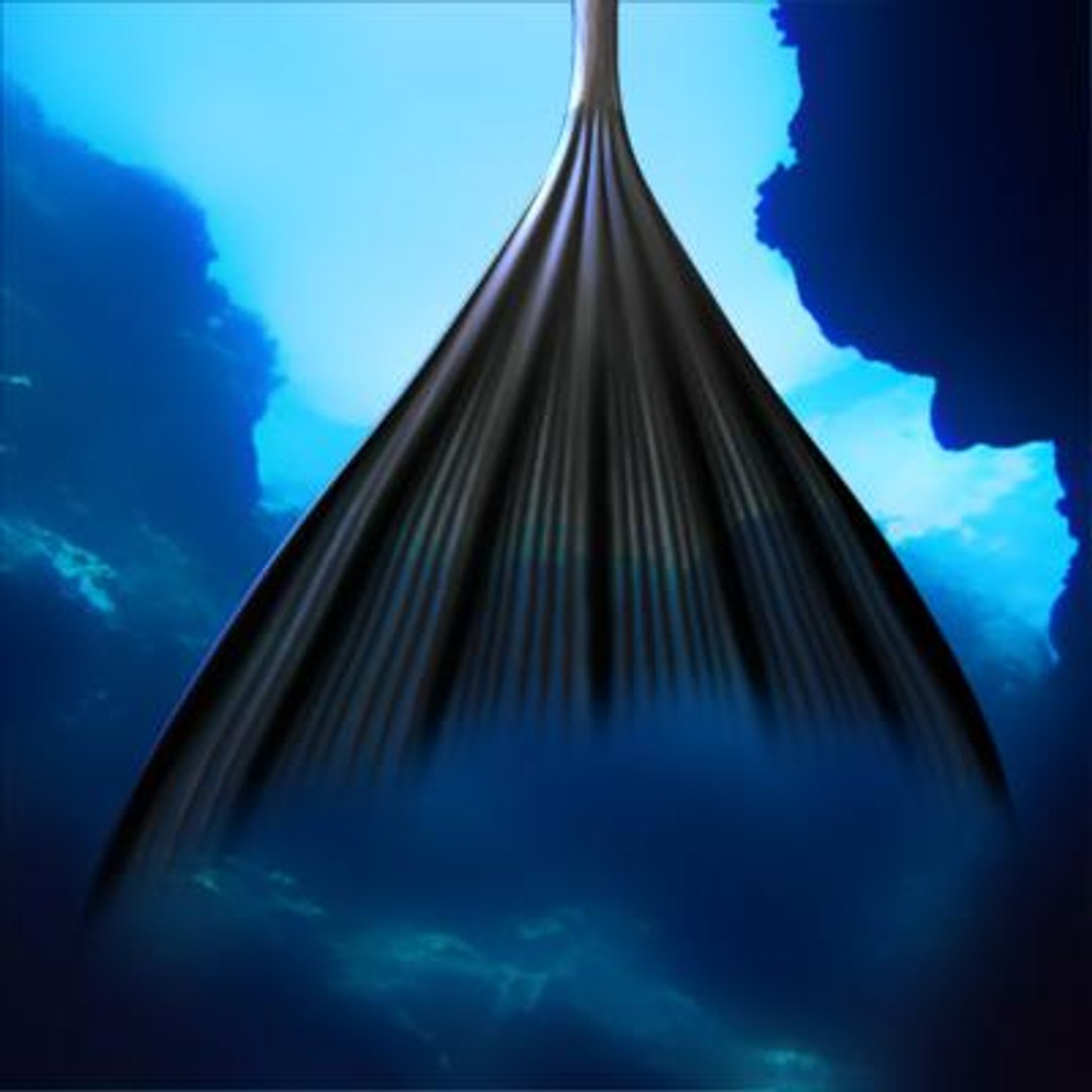 3d Mermaid Expressions