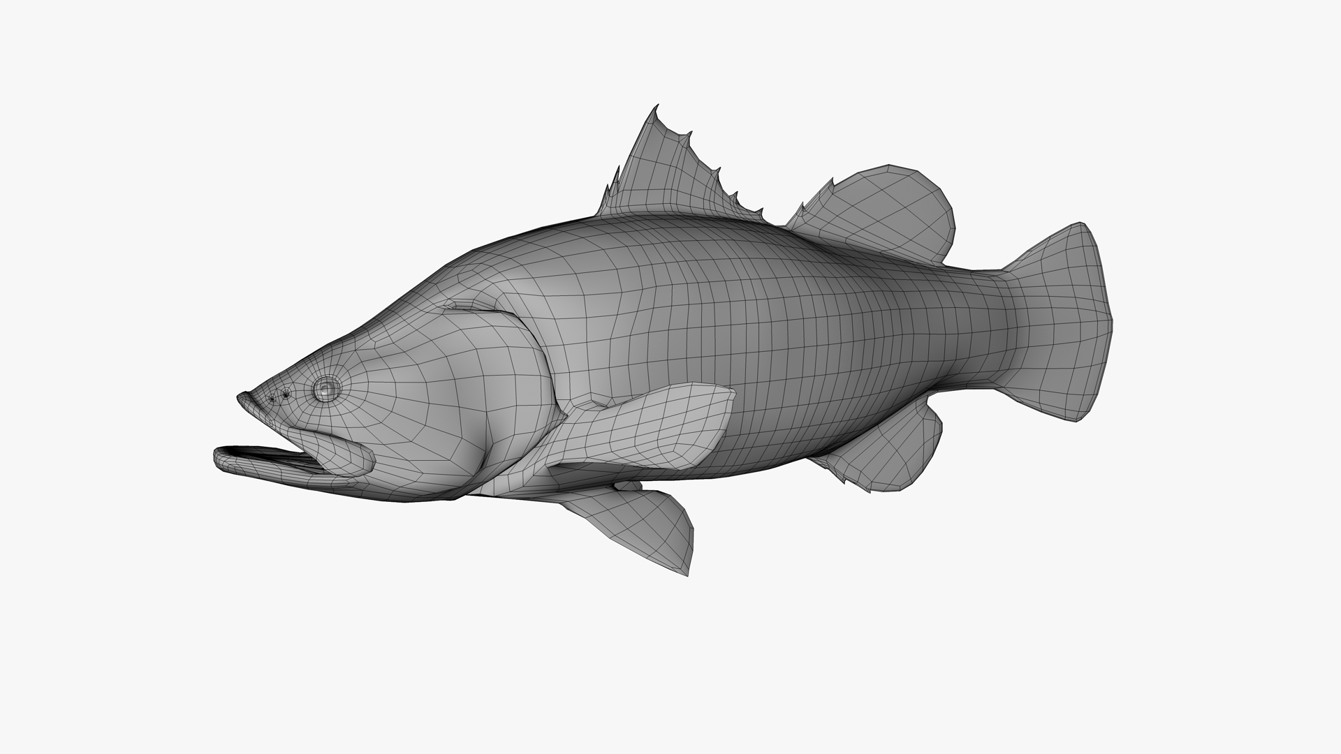 Perch Fish Vector Art PNG, Barramundi Nile Perch Fish, Barramundi, Nile  Perch Png, Fishing Logo PNG Image For Free Download