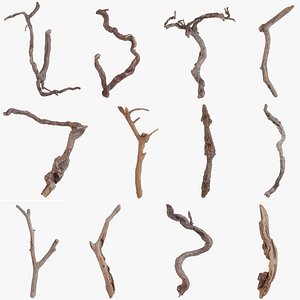 12 3D Scanned Branches 3D model
