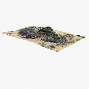Rock 3D Scan 22