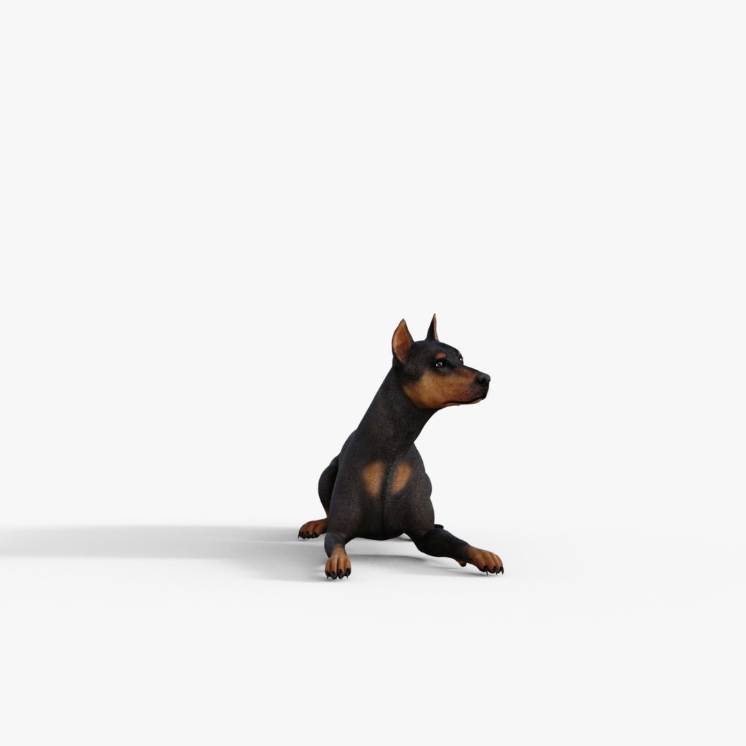 Doberman Dog Rigged Model - TurboSquid 2220293