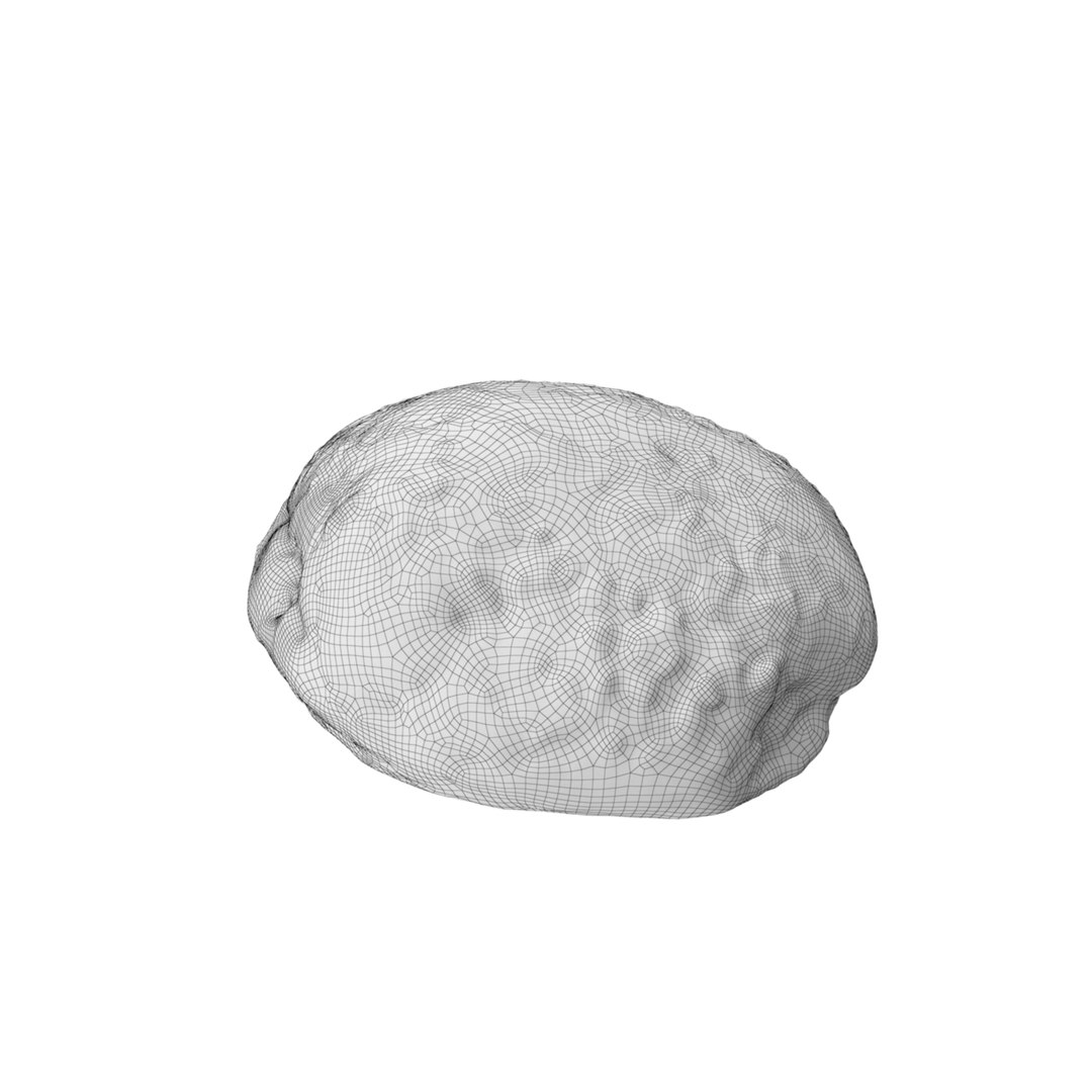 3D Sweet Bun https://p.turbosquid.com/ts-thumb/YA/6DWSVE/Ti/42342/jpg/1746903001/1920x1080/fit_q87/eb26447be019fbd4abcfdfff80e09fa35730db79/42342.jpg