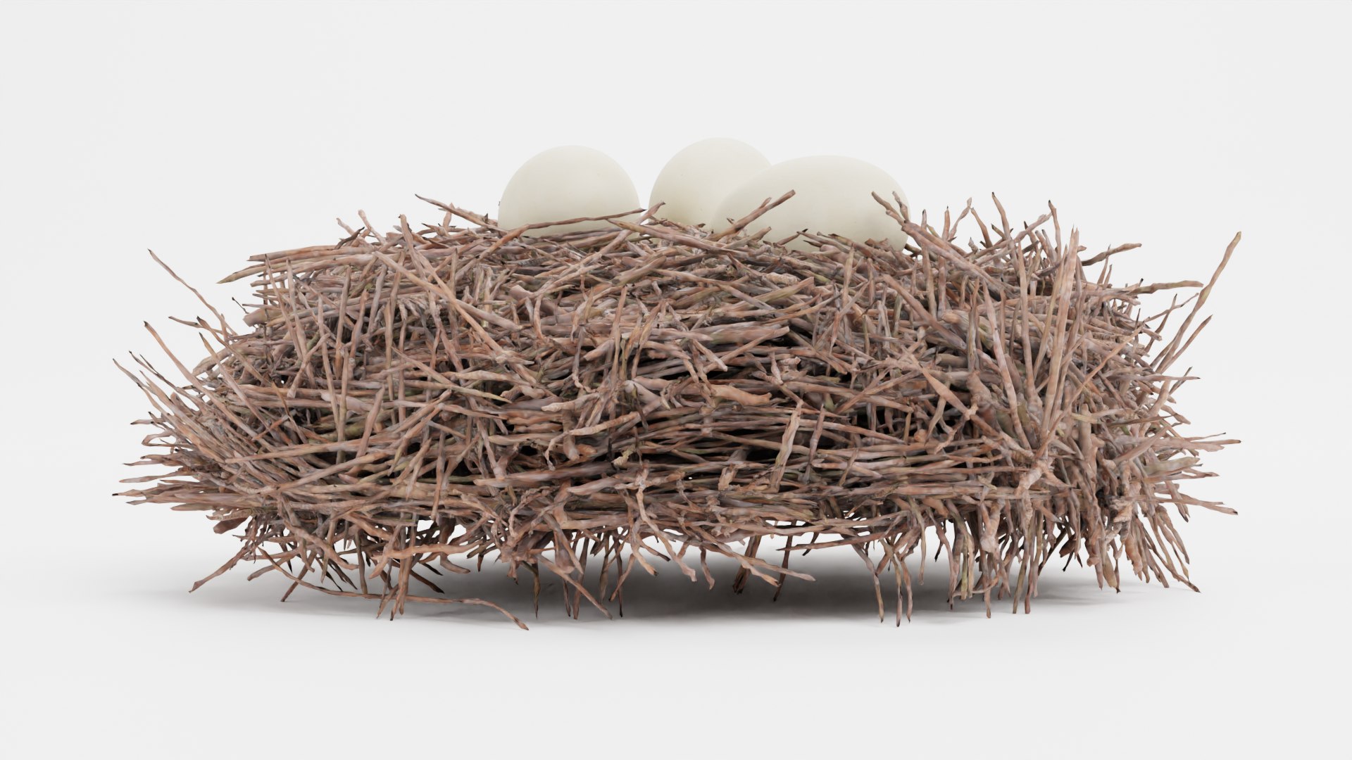Nests 3D https://p.turbosquid.com/ts-thumb/YA/8mTVs9/02/storknestwitheggsc/png/1627296718/1920x1080/fit_q87/fb68db34ee7d8bc92e51b8071e851c01c86e1430/storknestwitheggsc.jpg