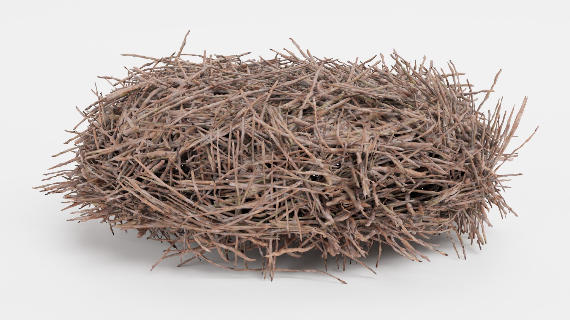 Nests 3D https://p.turbosquid.com/ts-thumb/YA/8mTVs9/8s/storknestc/png/1705587380/1920x1080/fit_q87/00712d6392e604c75b6d271b127a3e13d6fa8c6f/storknestc.jpg