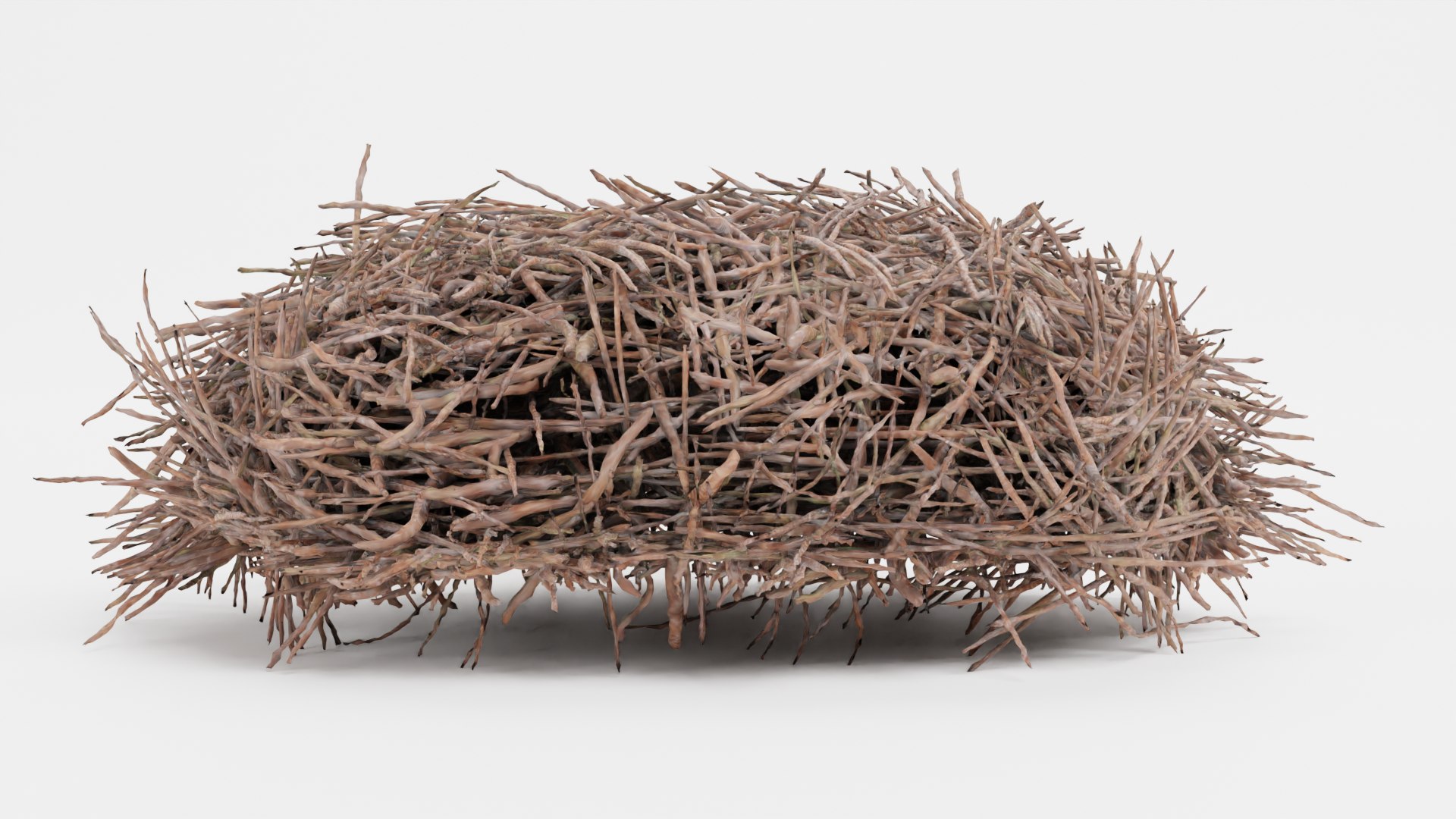 Nests 3D https://p.turbosquid.com/ts-thumb/YA/8mTVs9/Fh/storknestg/png/1705587377/1920x1080/fit_q87/e732364e6fbd12e56ff62162849e064d181c6dac/storknestg.jpg