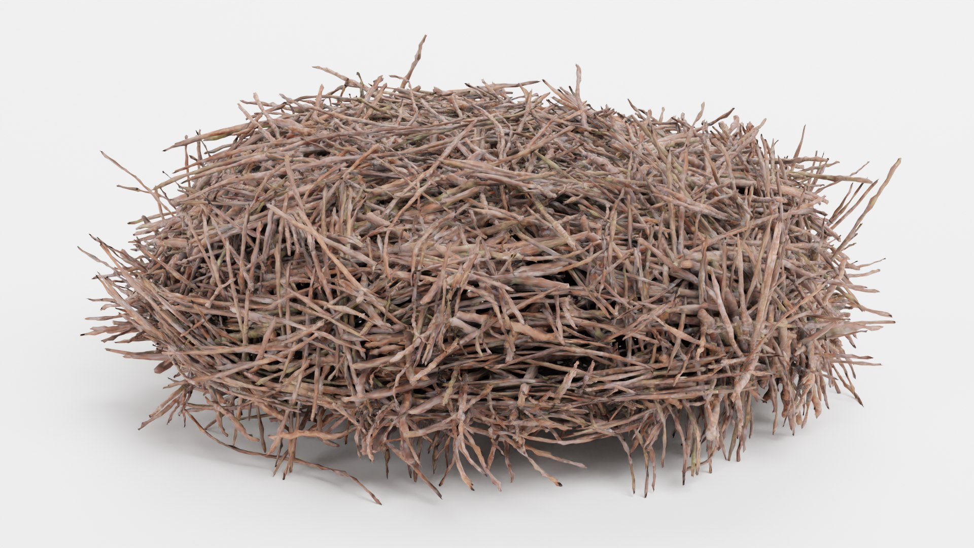 Nests 3D https://p.turbosquid.com/ts-thumb/YA/8mTVs9/IN/storknestb/png/1705587375/1920x1080/fit_q87/73d72f1e83d1305358d8465fb6ba5517b367b0f8/storknestb.jpg