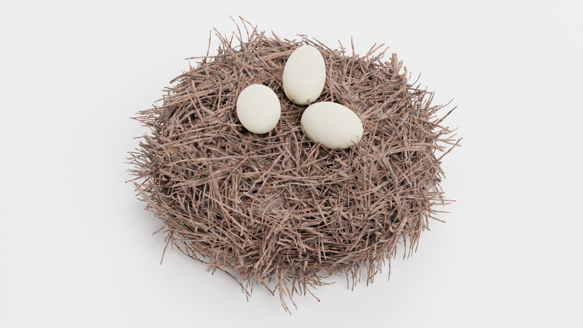 Nests 3D https://p.turbosquid.com/ts-thumb/YA/8mTVs9/Td/storknestwitheggsd/png/1627296713/1920x1080/fit_q87/0e8705917be48c6c3e6ddd7d910d608fd4656b84/storknestwitheggsd.jpg