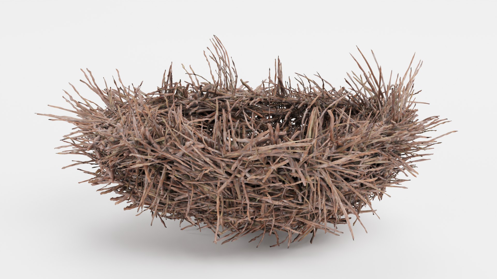Nests 3D https://p.turbosquid.com/ts-thumb/YA/8mTVs9/Y0/nesth/png/1705587339/1920x1080/fit_q87/9bf92756669bae5496dfdb56399e5a7da6d58e27/nesth.jpg