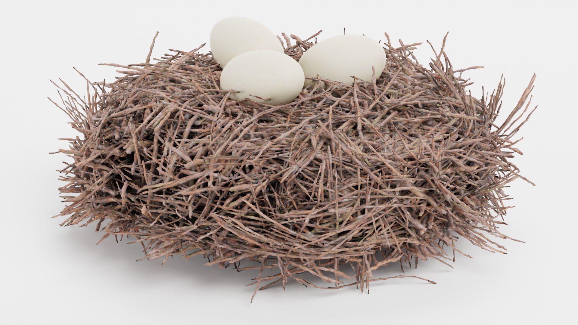 Nests 3D https://p.turbosquid.com/ts-thumb/YA/8mTVs9/ct/storknestwitheggse/png/1705587393/1920x1080/fit_q87/4126429f4f39d59cd8220ab36c019d451873d802/storknestwitheggse.jpg