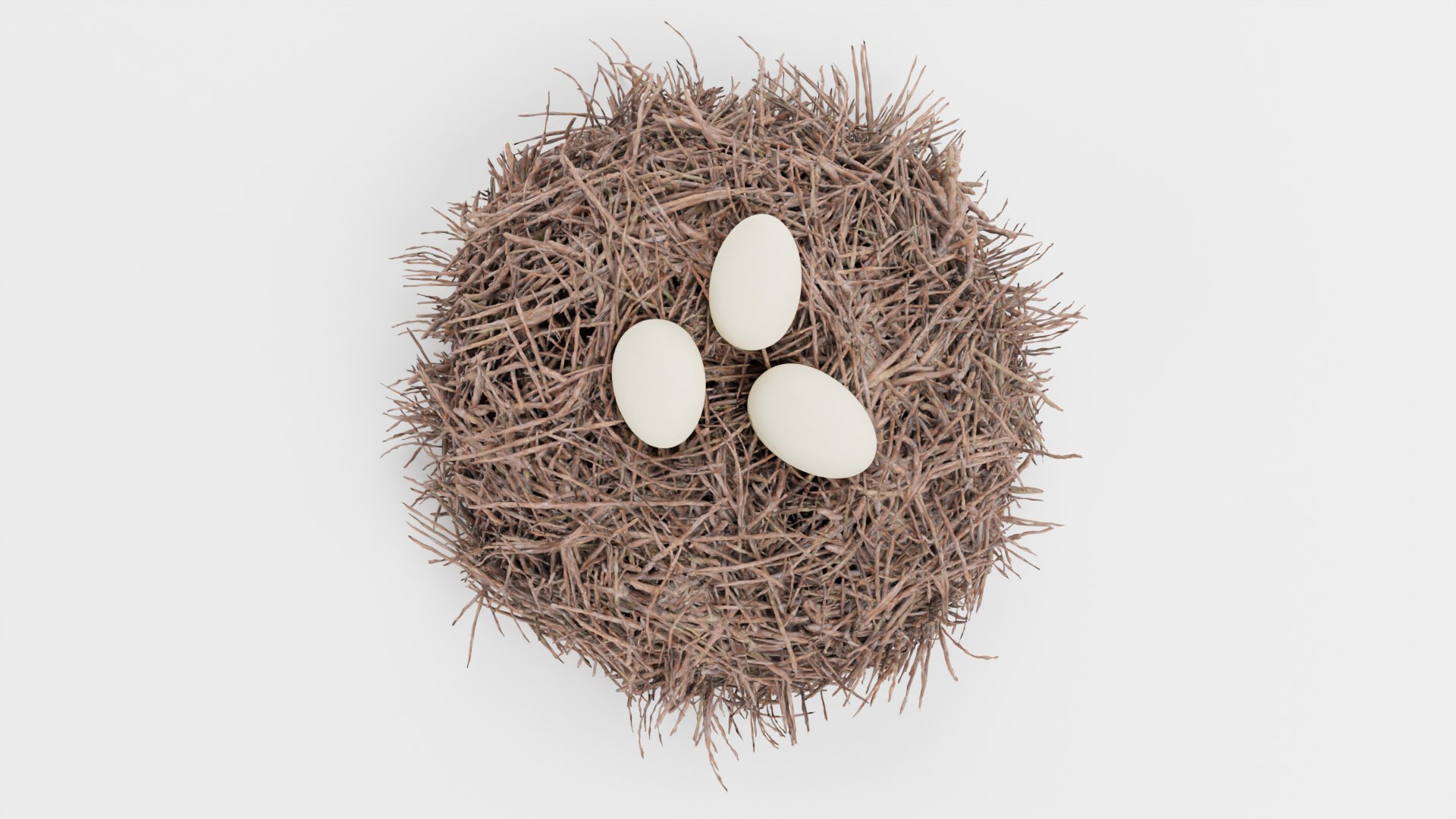 Nests 3D https://p.turbosquid.com/ts-thumb/YA/8mTVs9/h0/storknestwitheggsb/png/1627296712/1920x1080/fit_q87/043b5dd623862e48342117891813604ef2687634/storknestwitheggsb.jpg